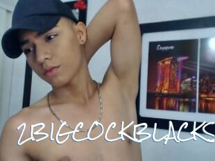 2BIGCOCKBLACKS