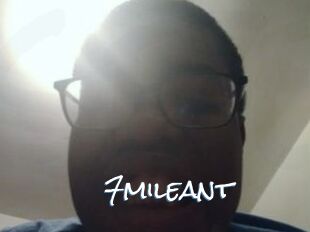 7mileant