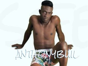 ANTHONYBUIL