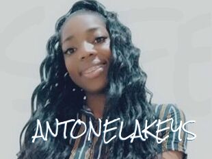 ANTONELAKEYS