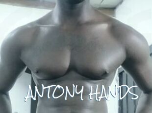 ANTONY_HANDS
