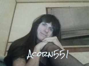 Acorn551