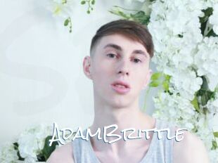 AdamBrittle
