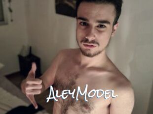 AleyModel