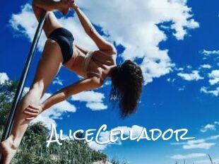 AliceCellador