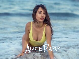 AlicePipp