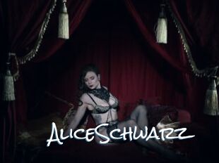 AliceSchwarz