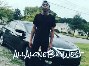 AllAloneBigWest