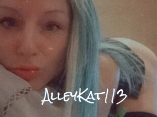 AlleyKat113