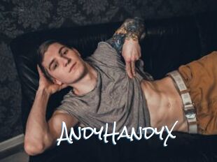 AndyHandyX