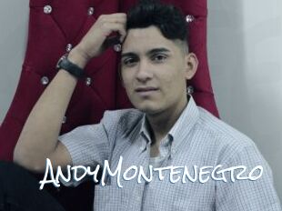 AndyMontenegro