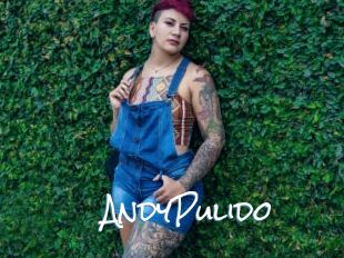 AndyPulido