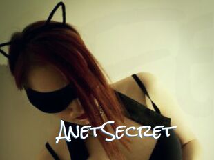 AnetSecret
