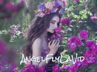 AngelFlyLaVid