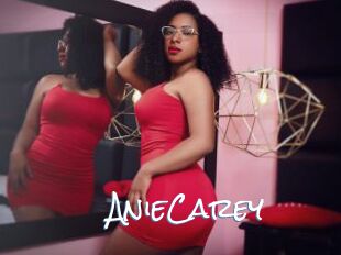 AnieCarey