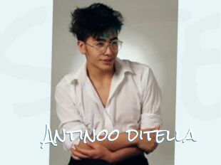 Antinoo_ditella