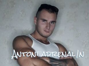Antoni_adrenal1n
