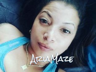 Aria_Maze