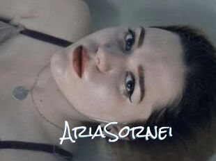AriaSornei