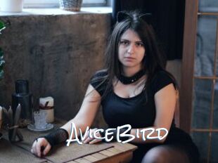 AviceBird
