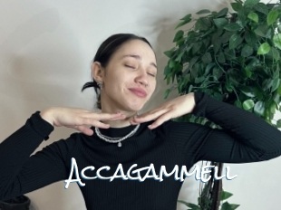 Accagammell