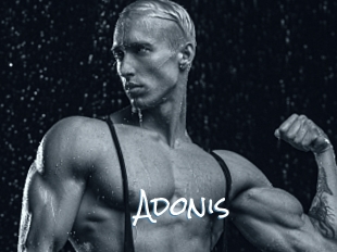 Adonis_