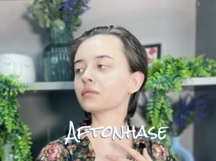 Aftonhase