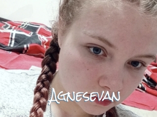 Agnesevan