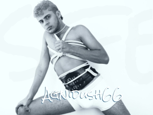 Agnidush66