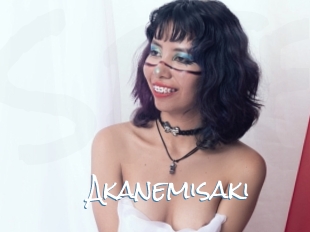 Akanemisaki
