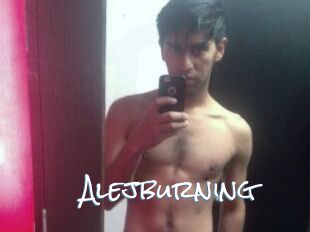 Alejburning