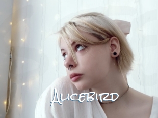Alicebird