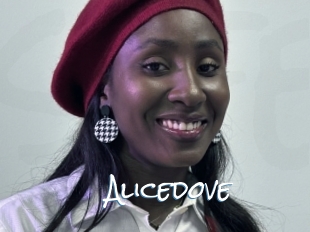 Alicedove