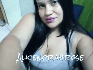 Alicenorahrose