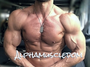 alphamuscledom Sex Feed