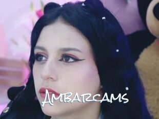 Ambarcams