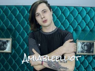 Amiableelliot