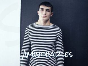 Amincharles