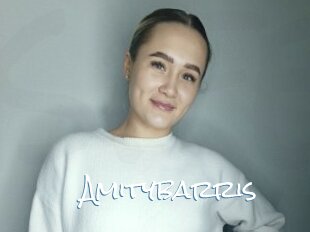 Amitybarris