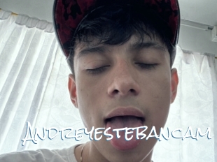Andreyestebancam