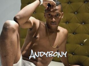 Andybony