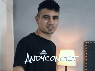 Andyconort