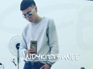 Andykittsunee