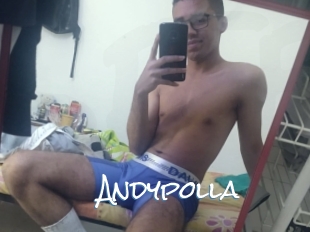 Andypolla