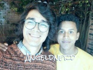 Angeldnerd