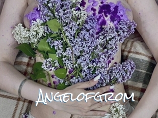 Angelofgrom