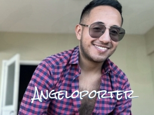 Angeloporter