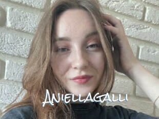 Aniellagalli
