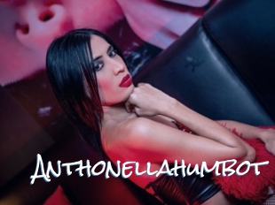 Anthonellahumbot