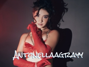 Antonellaagrayy
